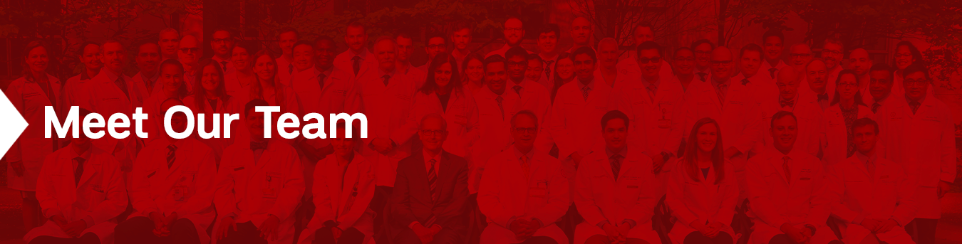 Meet Our team